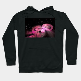 Rose smoke Hoodie